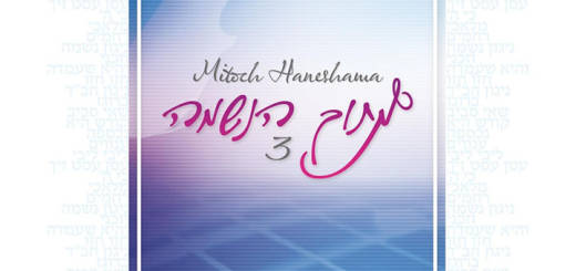 Moshe Laufer - Mitoch Haneshama 3 (2012)