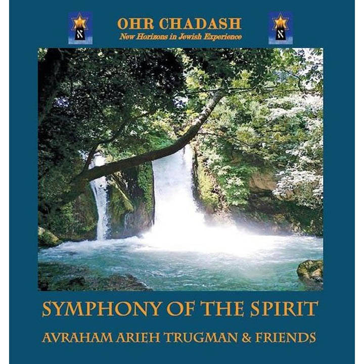 Avraham Arieh Trugman & Friends - Symphony of the Spirit (2012)