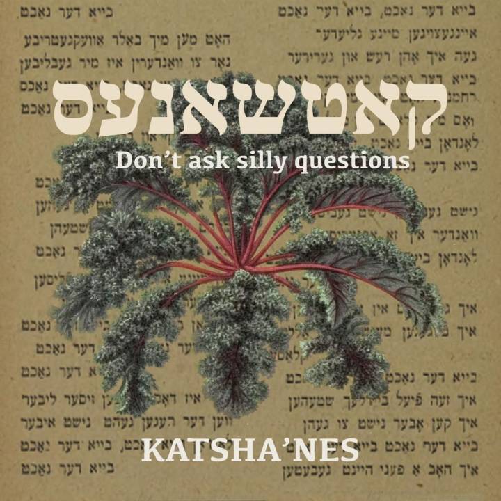 Katsha'nes - Don't Ask Silly Questions (2017)