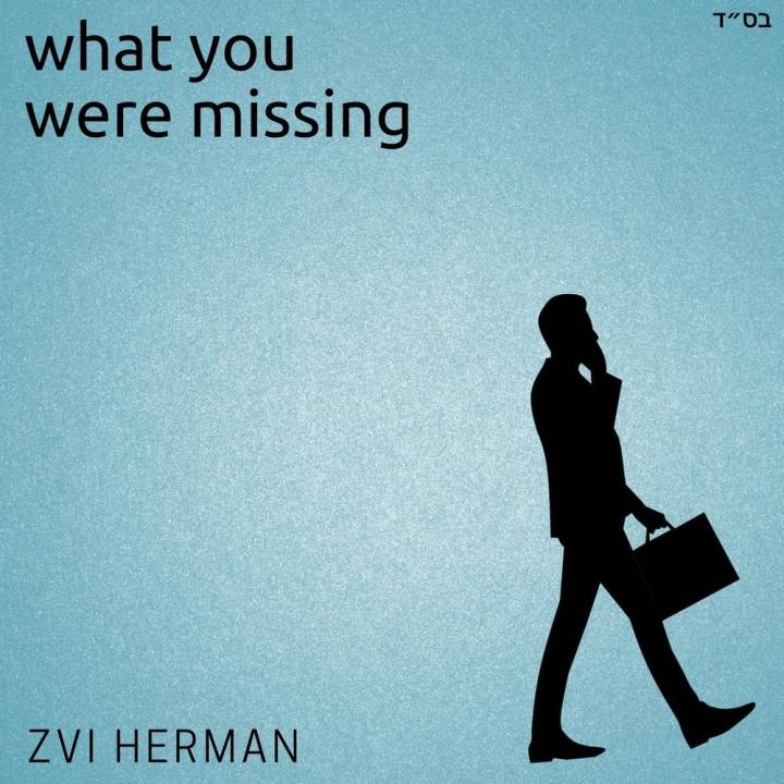 Zvi Herman - What You Were Missing (2012)