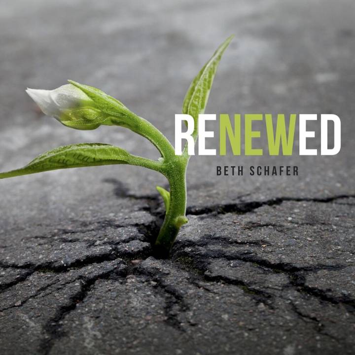 Beth Schafer - Renewed (2019)