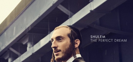 Shulem - The Perfect Dream (2019)
