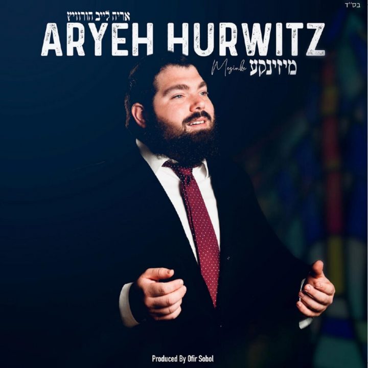 Aryeh Leib Hurwitz - Mezinke (2021)